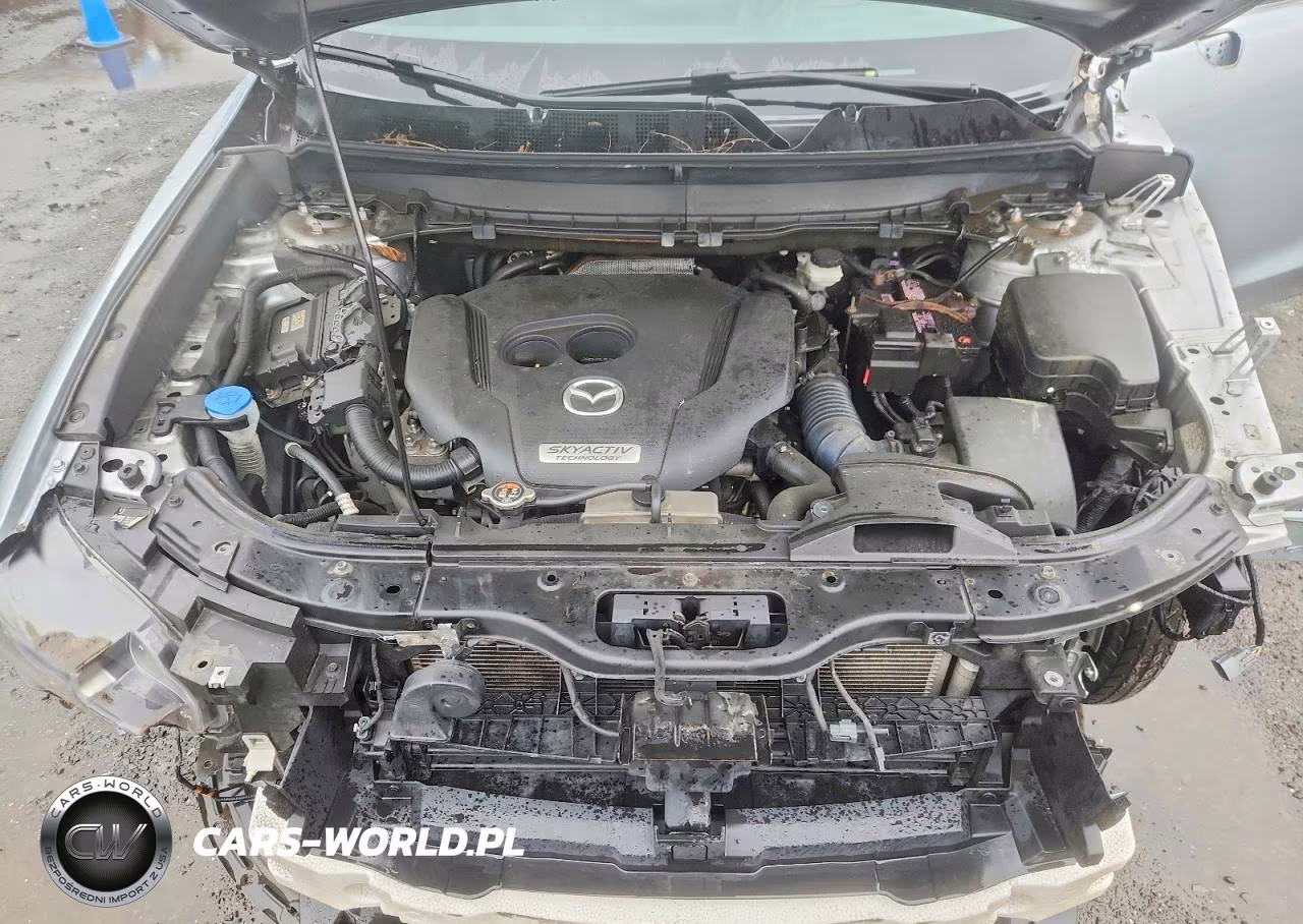 2016 Mazda Cx-9 Grand Touring VIN:JM3TCBDY6G0114408 - 12
