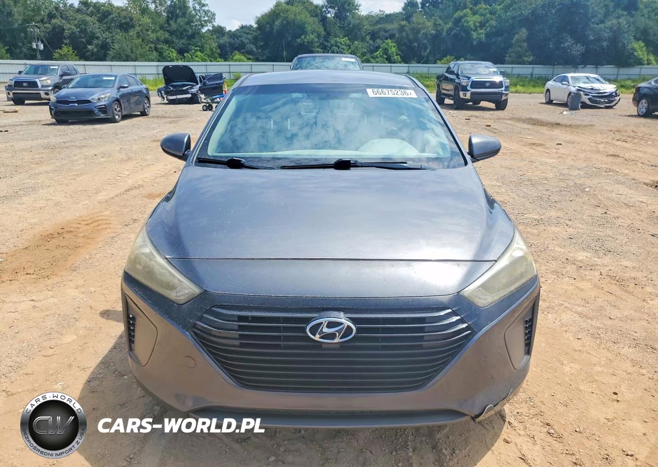 2017 Hyundai Ioniq Blue VIN:KMHC65LCXHU024014 - 5