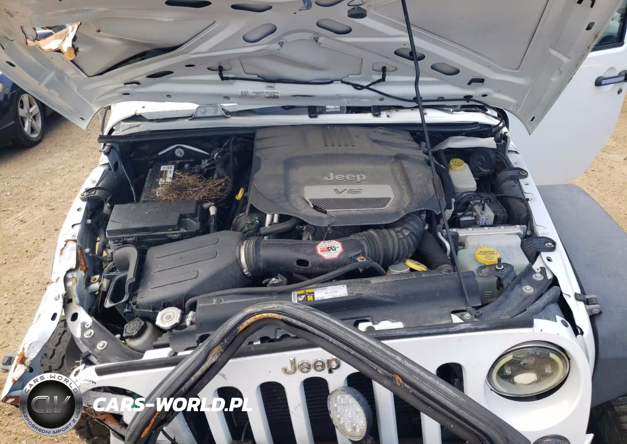 2016 Jeep Wrangler Unlimited Sport VIN:1C4BJWDG4GL104824 - 11