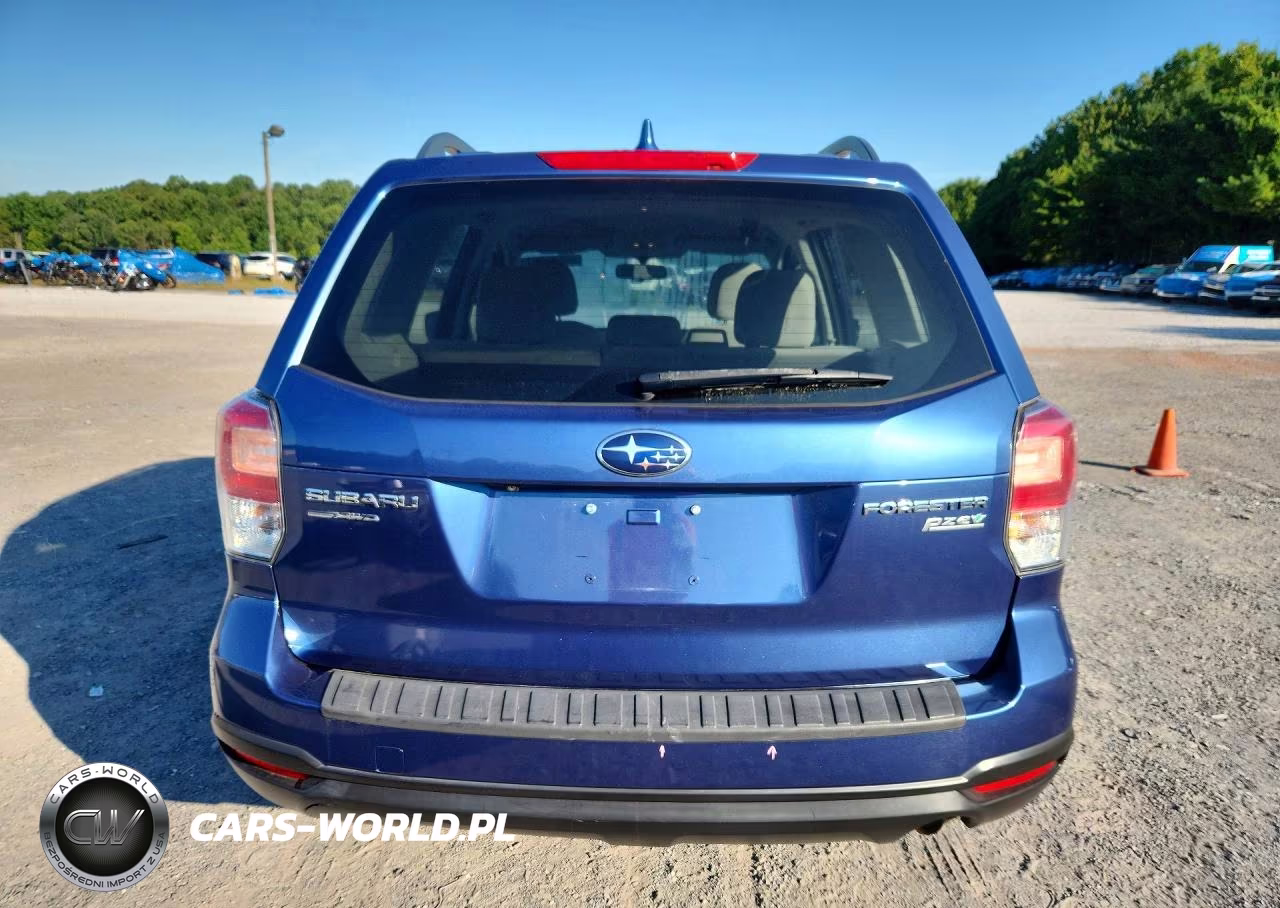 2018 Subaru Forester 2.5I VIN:JF2SJABC9JH587256 - 6