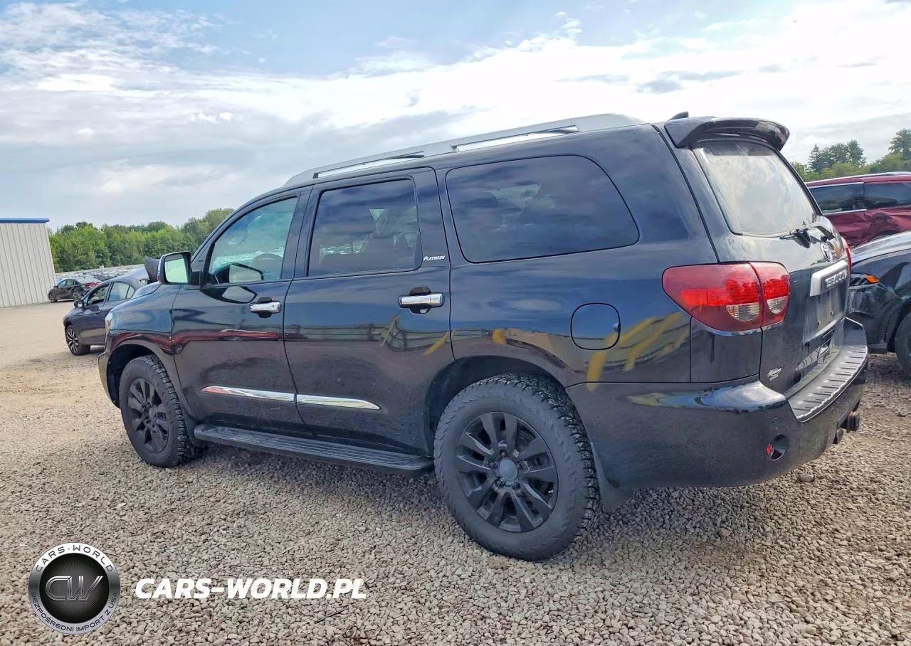 2020 Toyota Sequoia Platinum VIN:5TDDY5G18LS180187 - 2