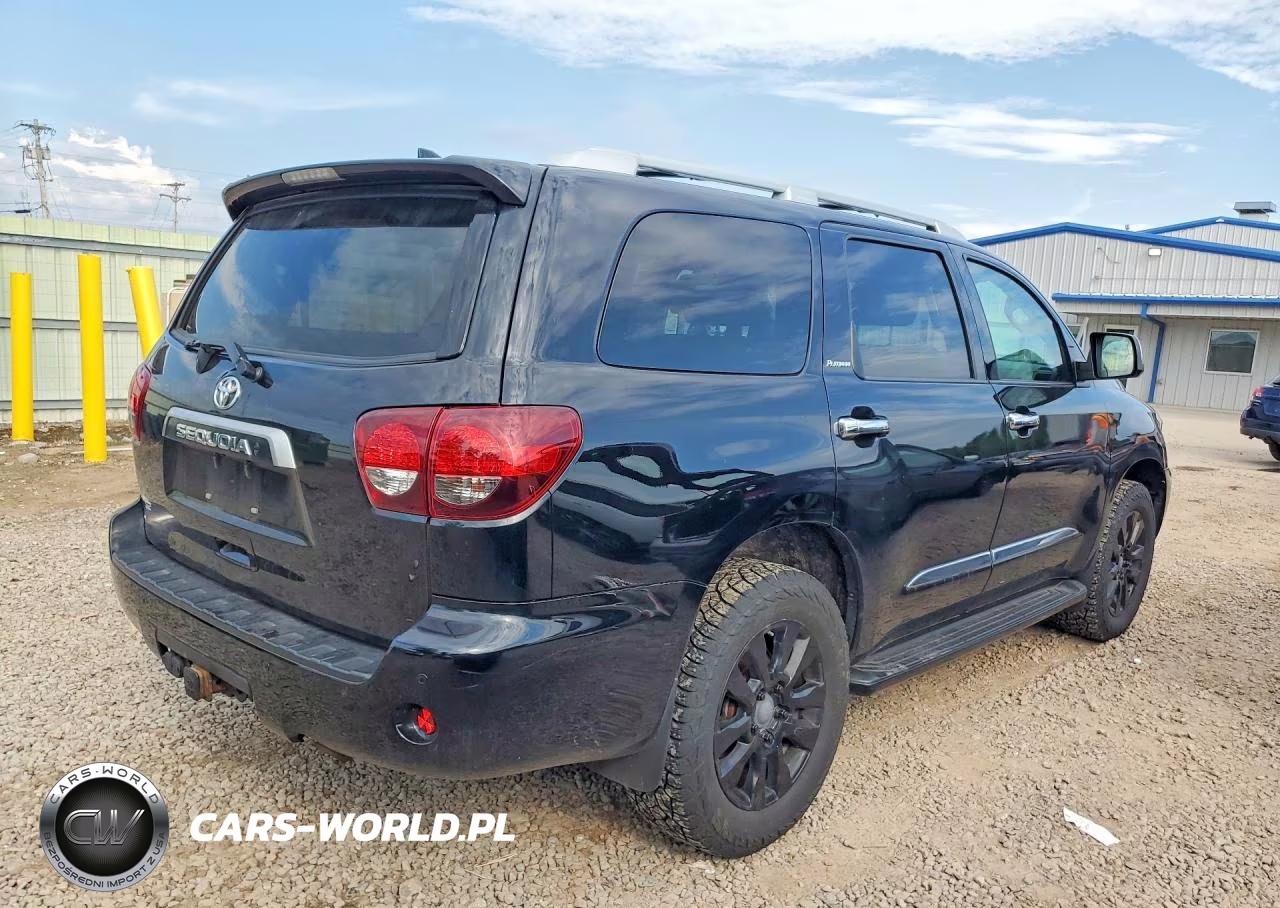 2020 Toyota Sequoia Platinum VIN:5TDDY5G18LS180187 - 3