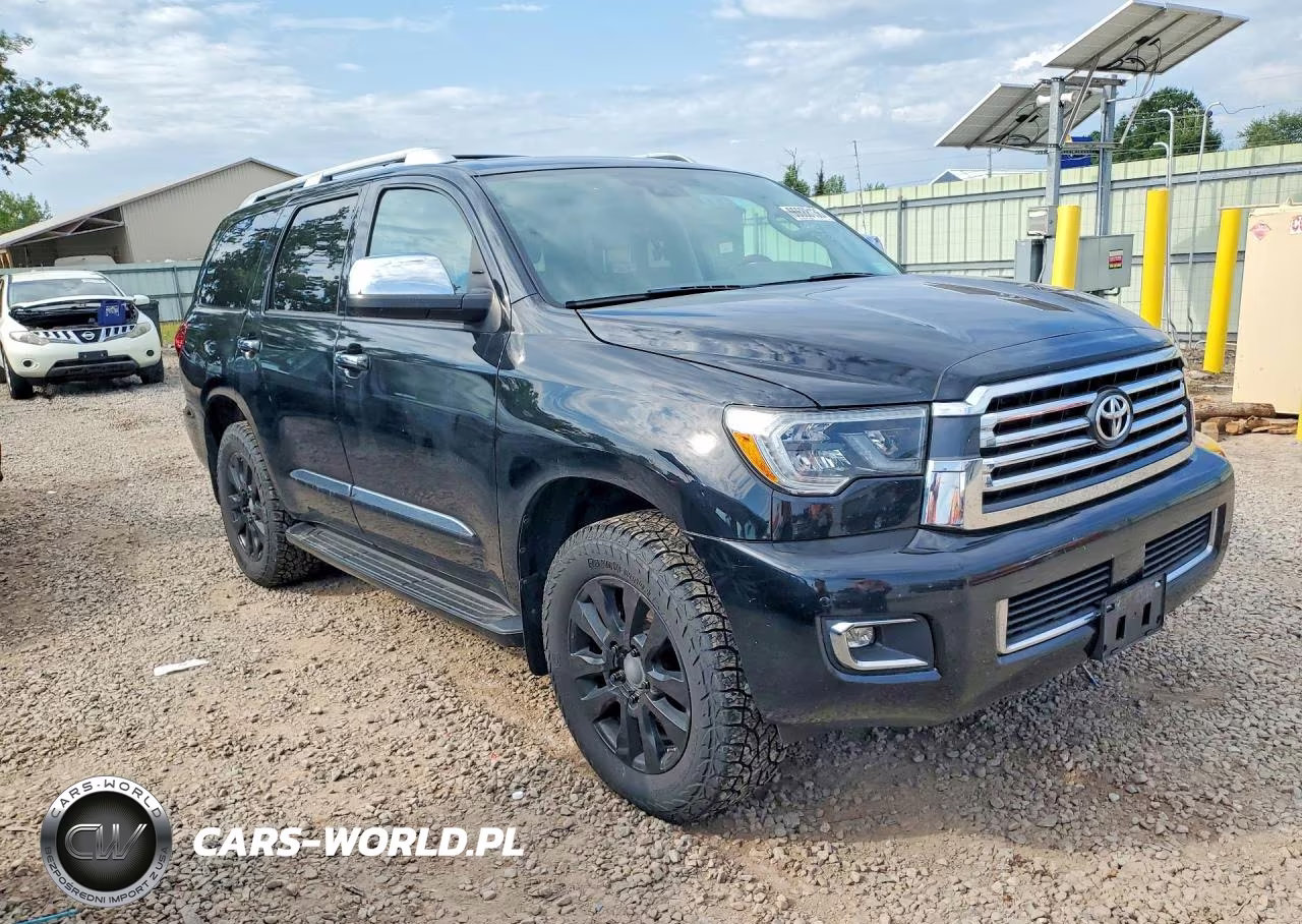 2020 Toyota Sequoia Platinum VIN:5TDDY5G18LS180187 - 4