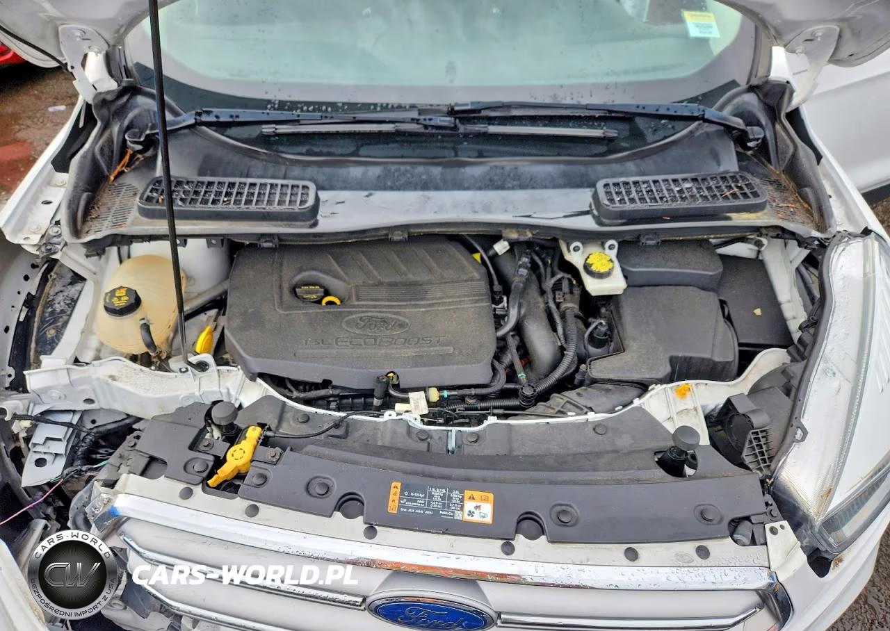2017 Ford Escape Se VIN:1FMCU9GD1HUB19044 - 11
