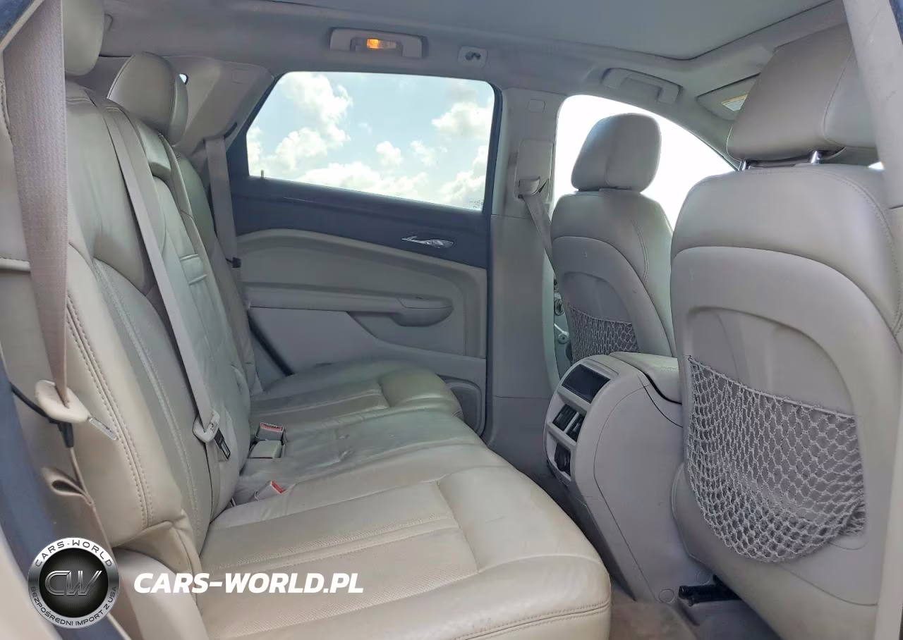 2010 Cadillac Srx Performance Collection VIN:3GYFNEEY9AS500301 - 10