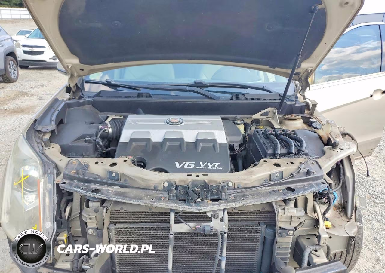 2010 Cadillac Srx Performance Collection VIN:3GYFNEEY9AS500301 - 11