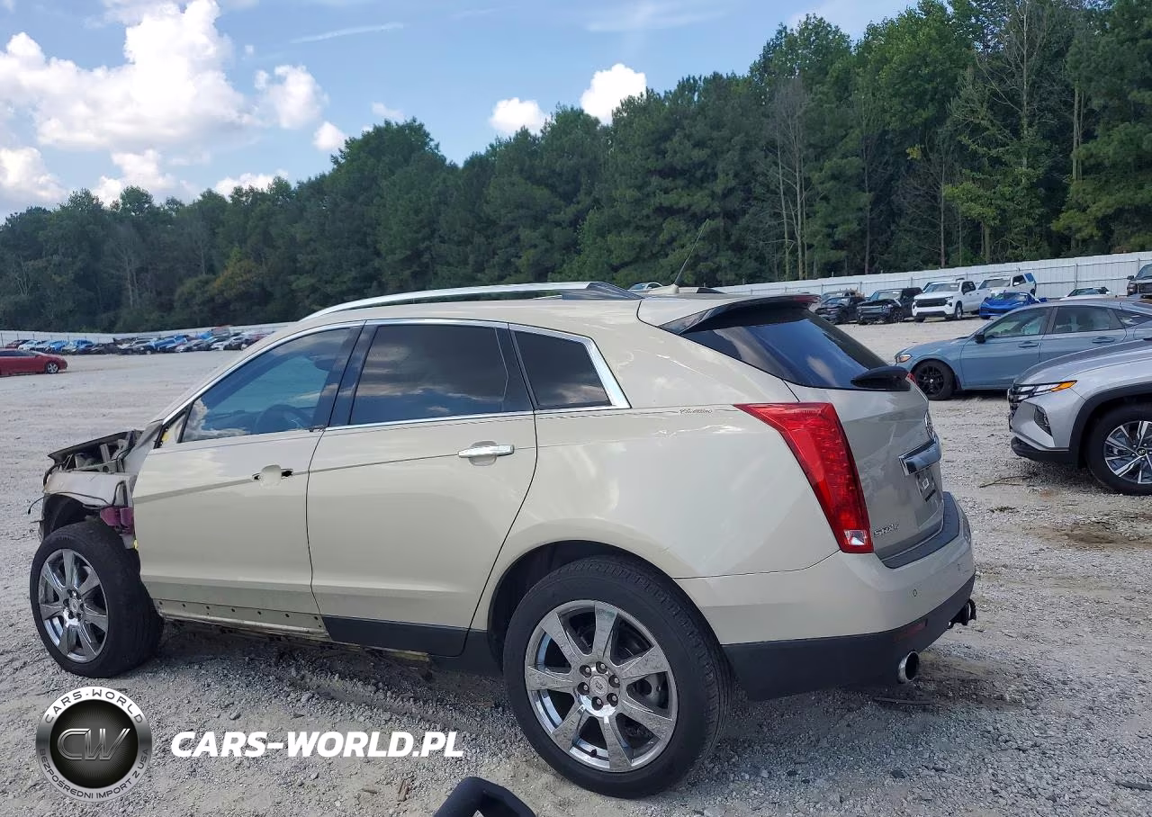 2010 Cadillac Srx Performance Collection VIN:3GYFNEEY9AS500301 - 2
