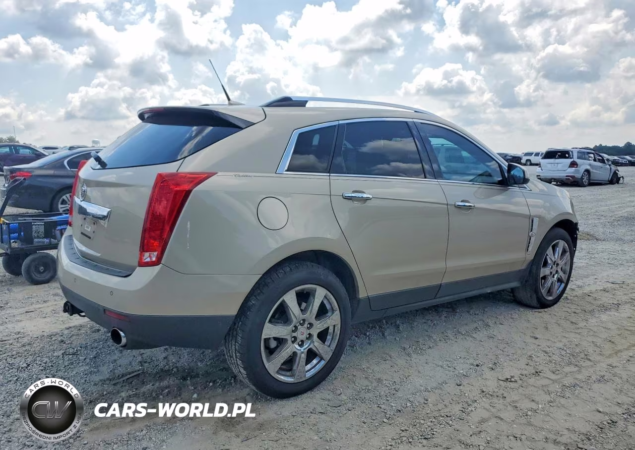 2010 Cadillac Srx Performance Collection VIN:3GYFNEEY9AS500301 - 3
