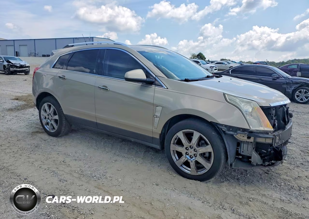 2010 Cadillac Srx Performance Collection VIN:3GYFNEEY9AS500301 - 4