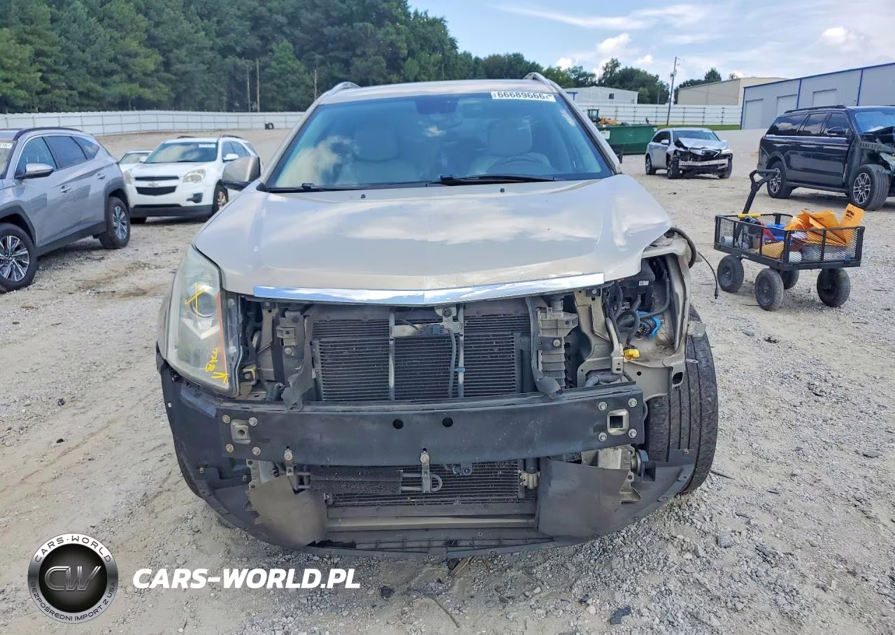 2010 Cadillac Srx Performance Collection VIN:3GYFNEEY9AS500301 - 5