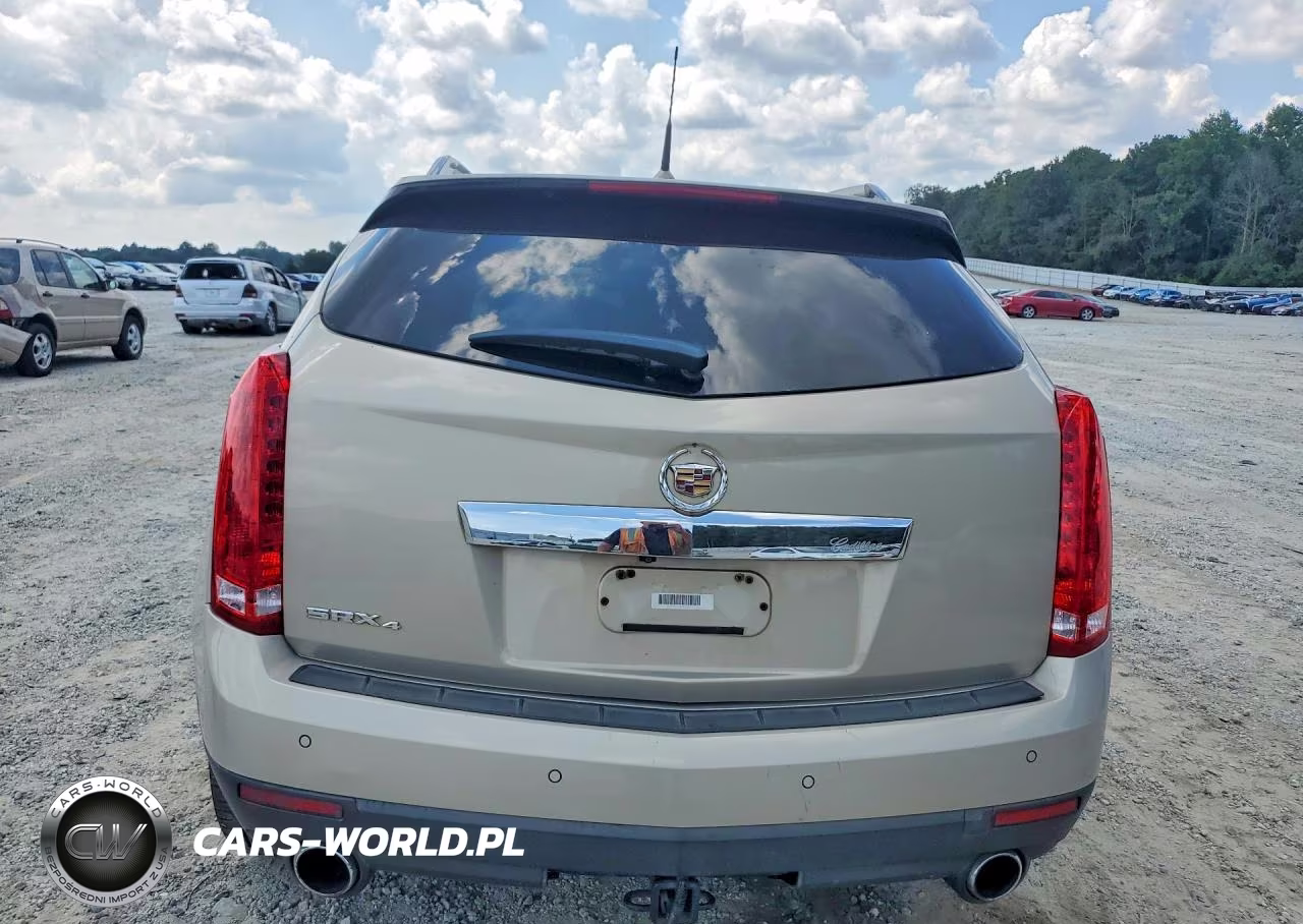 2010 Cadillac Srx Performance Collection VIN:3GYFNEEY9AS500301 - 6