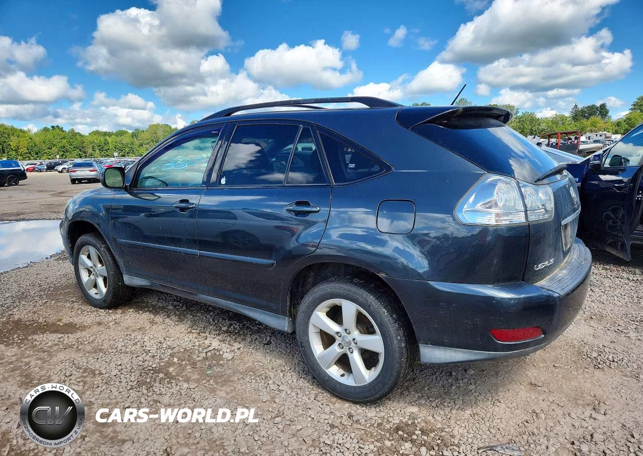 2004 Lexus Rx 330 VIN:2T2HA31UX4C008245 - 2