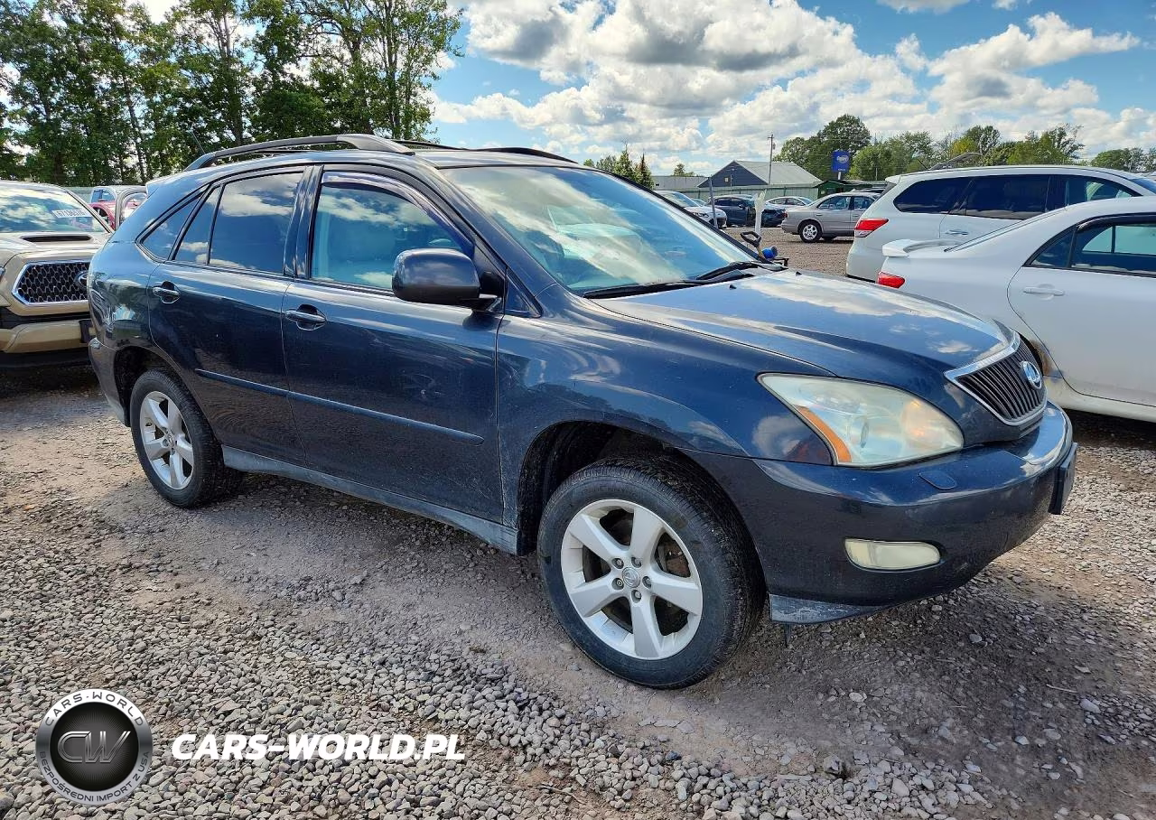 2004 Lexus Rx 330 VIN:2T2HA31UX4C008245 - 4
