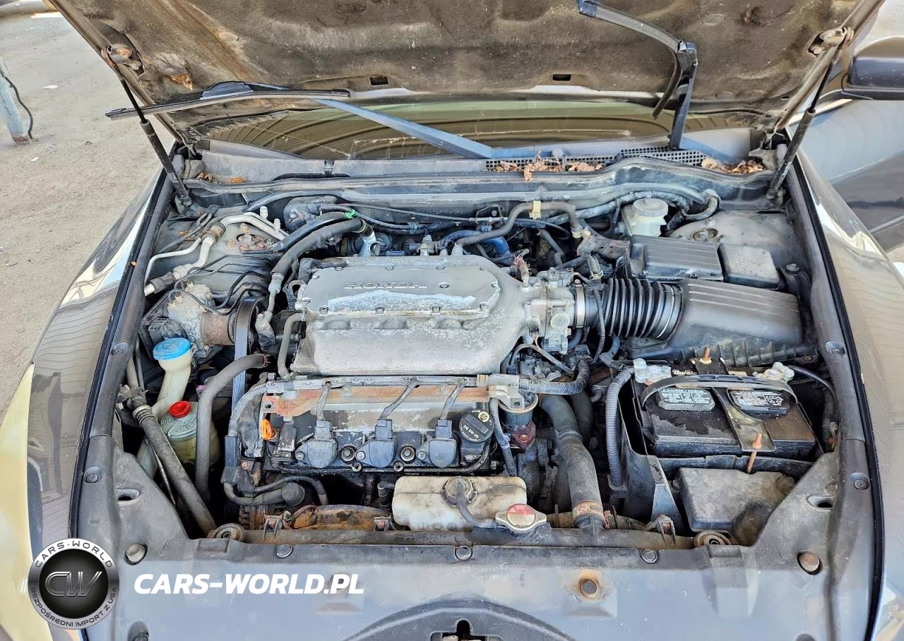 2007 Honda Accord Ex VIN:1HGCM66837A008794 - 11