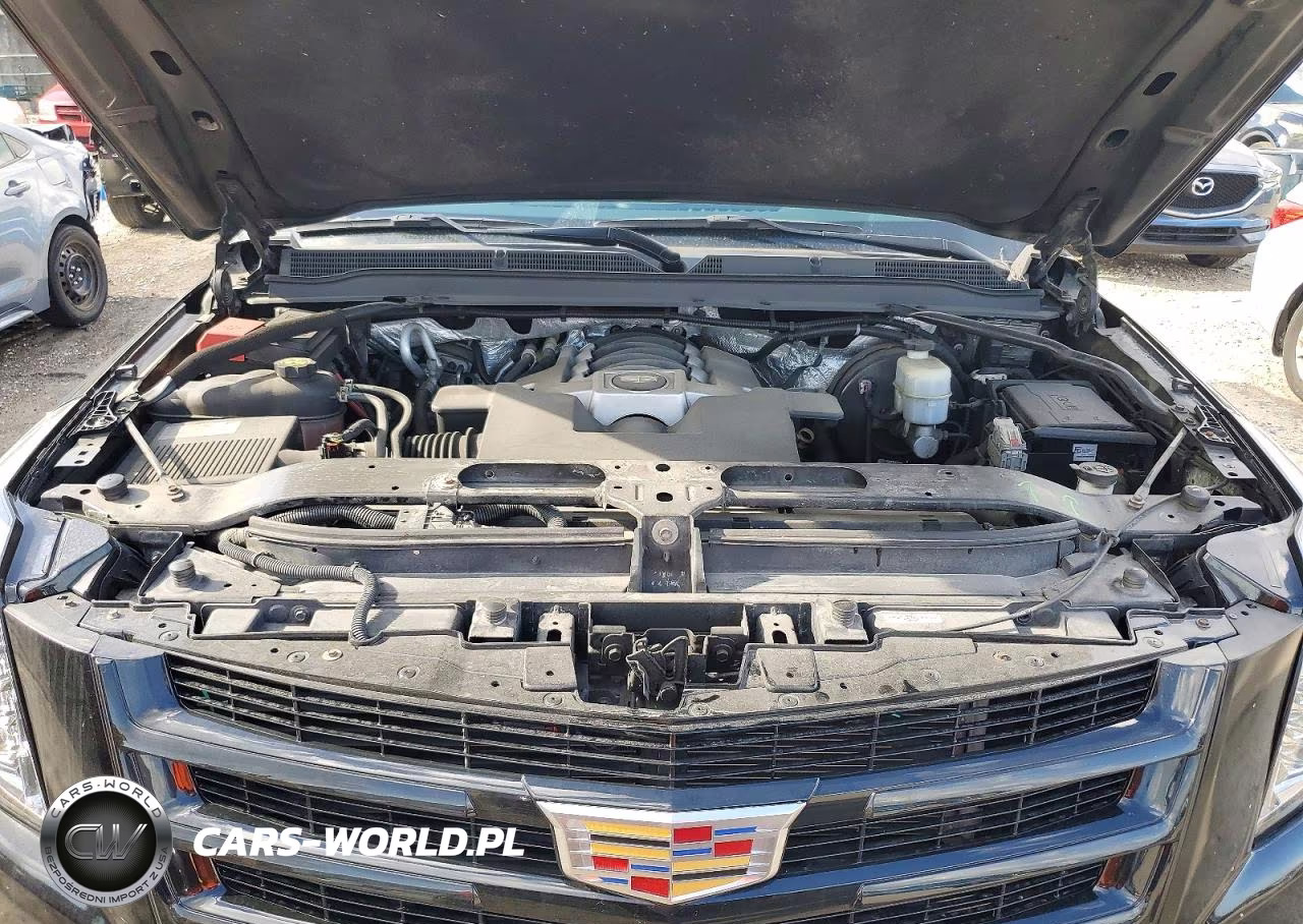 2017 Cadillac Escalade VIN:1GYS4AKJ9HR302512 - 12