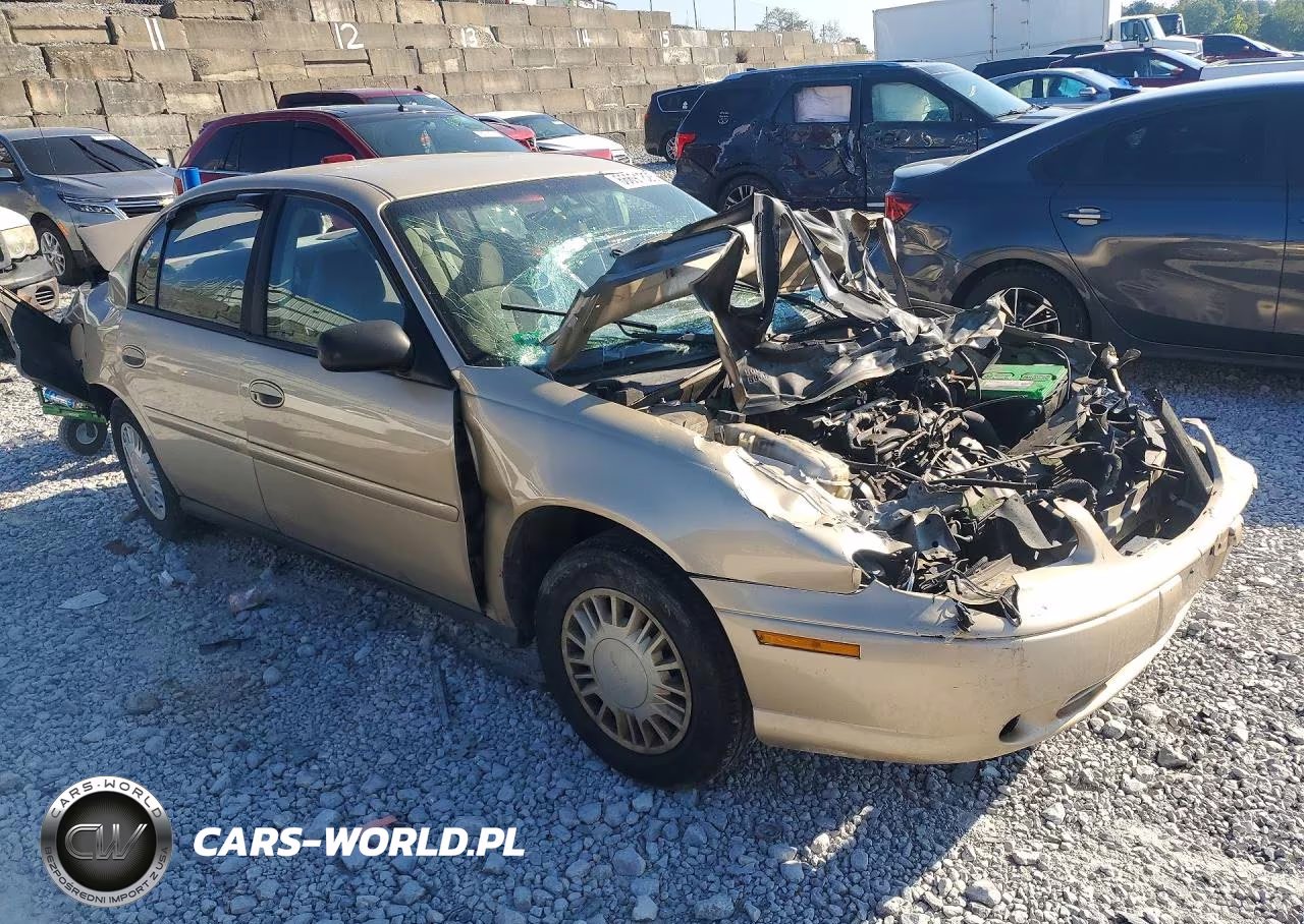 2002 Chevrolet Malibu VIN:1G1ND52J12M539244 - 4