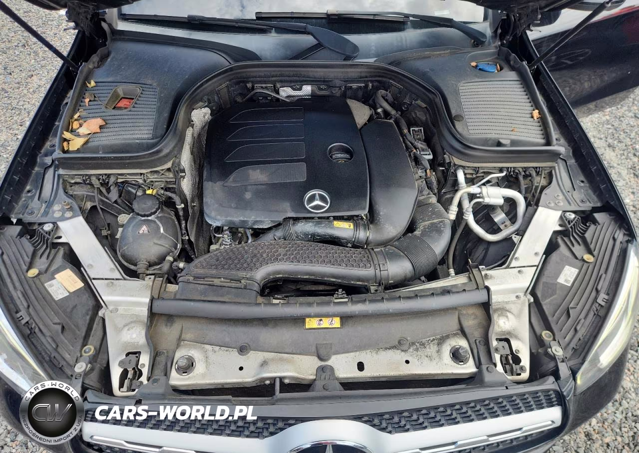 2020 Mercedes-Benz Glc 300 VIN:W1N0G8DB2LF777408 - 12