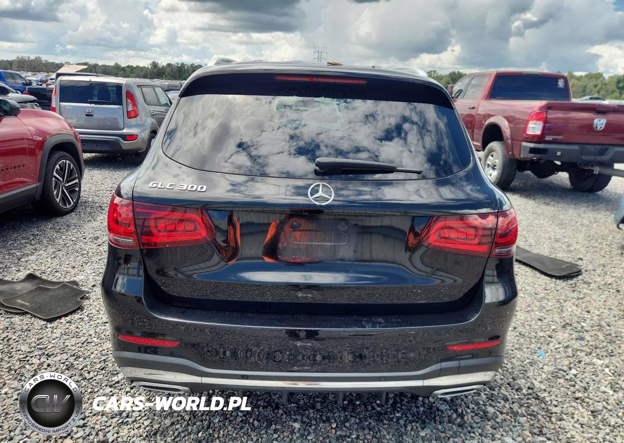 2020 Mercedes-Benz Glc 300 VIN:W1N0G8DB2LF777408 - 6