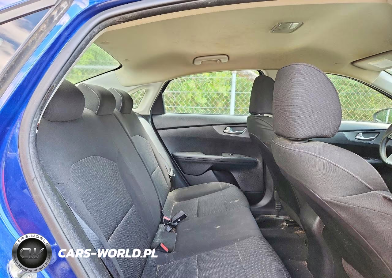 2019 Kia Forte Lxs VIN:3KPF24AD5KE137653 - 10