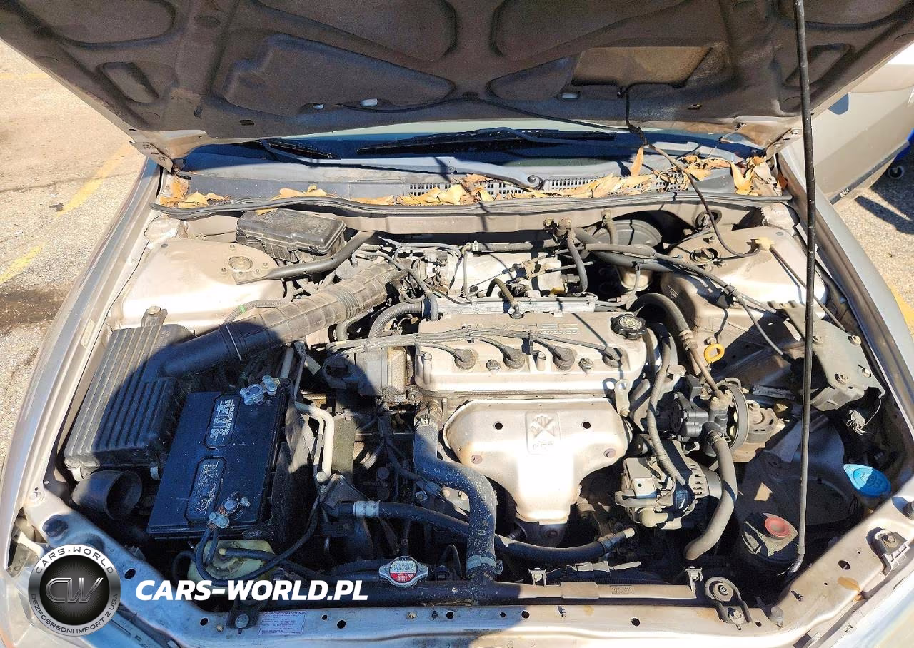 1999 Honda Accord Lx VIN:1HGCG5647XA084517 - 11