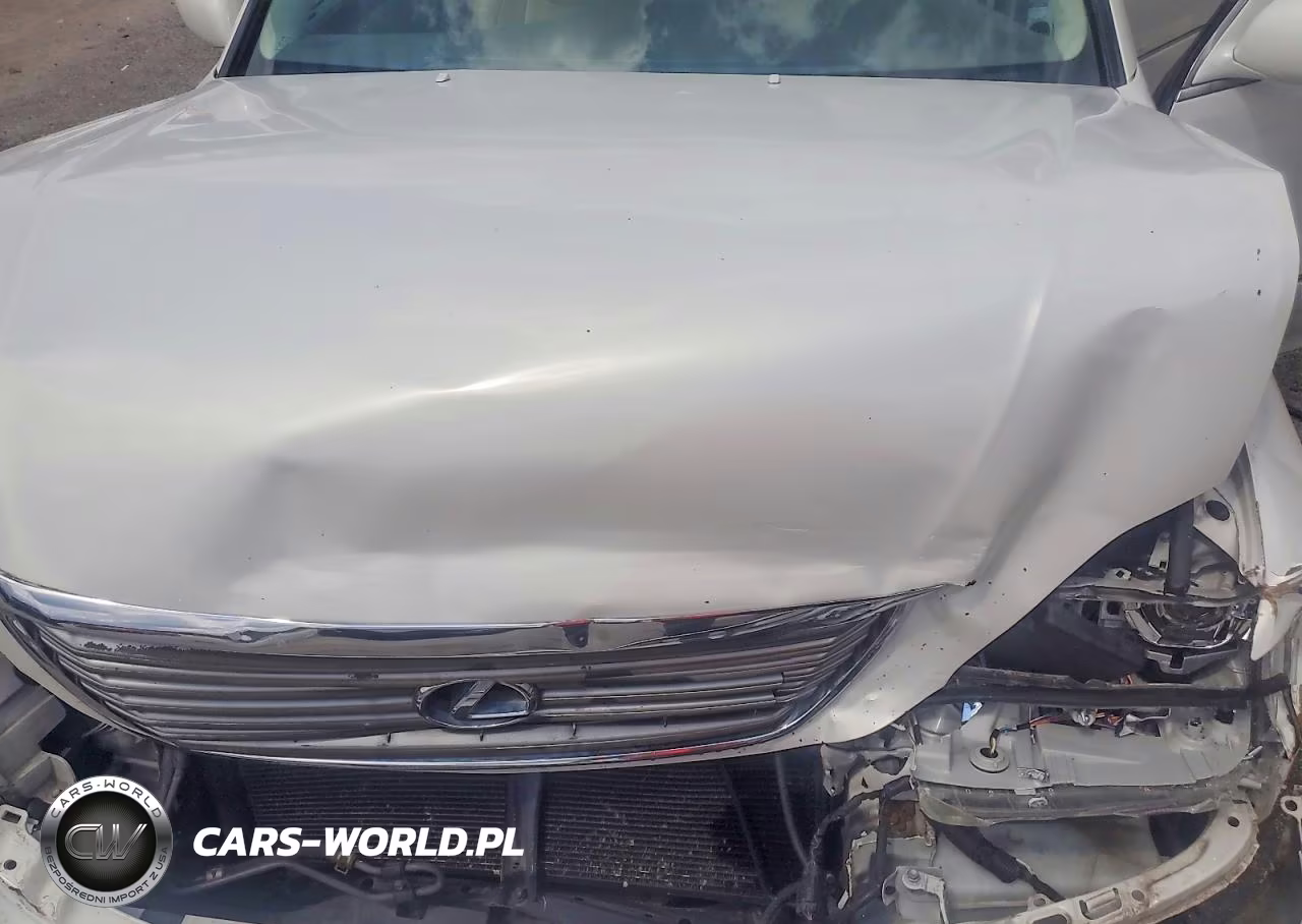 2006 Lexus Ls 430 VIN:JTHBN36F365046245 - 11