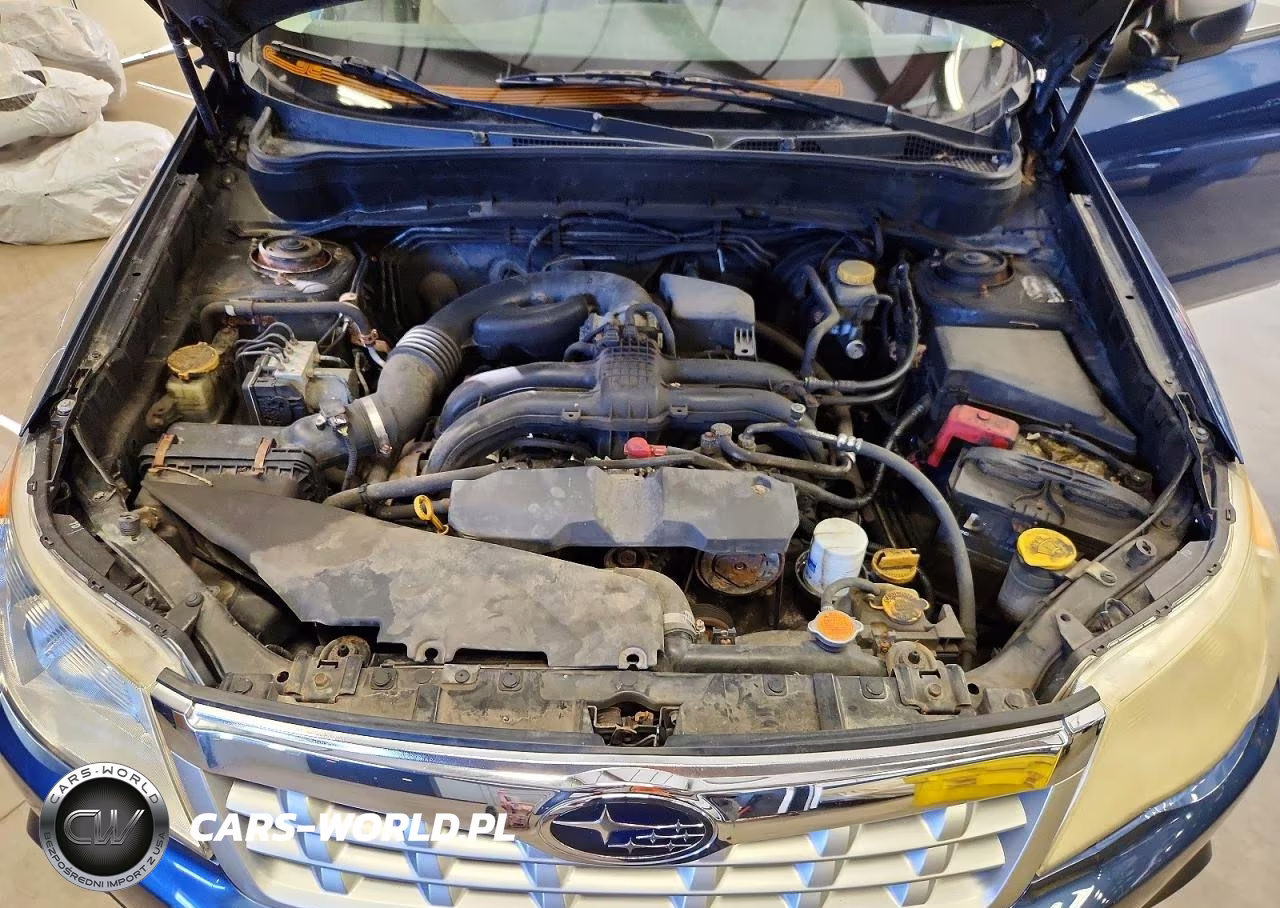2013 Subaru Forester 2.5X VIN:JF2SHABC9DH413431 - 12