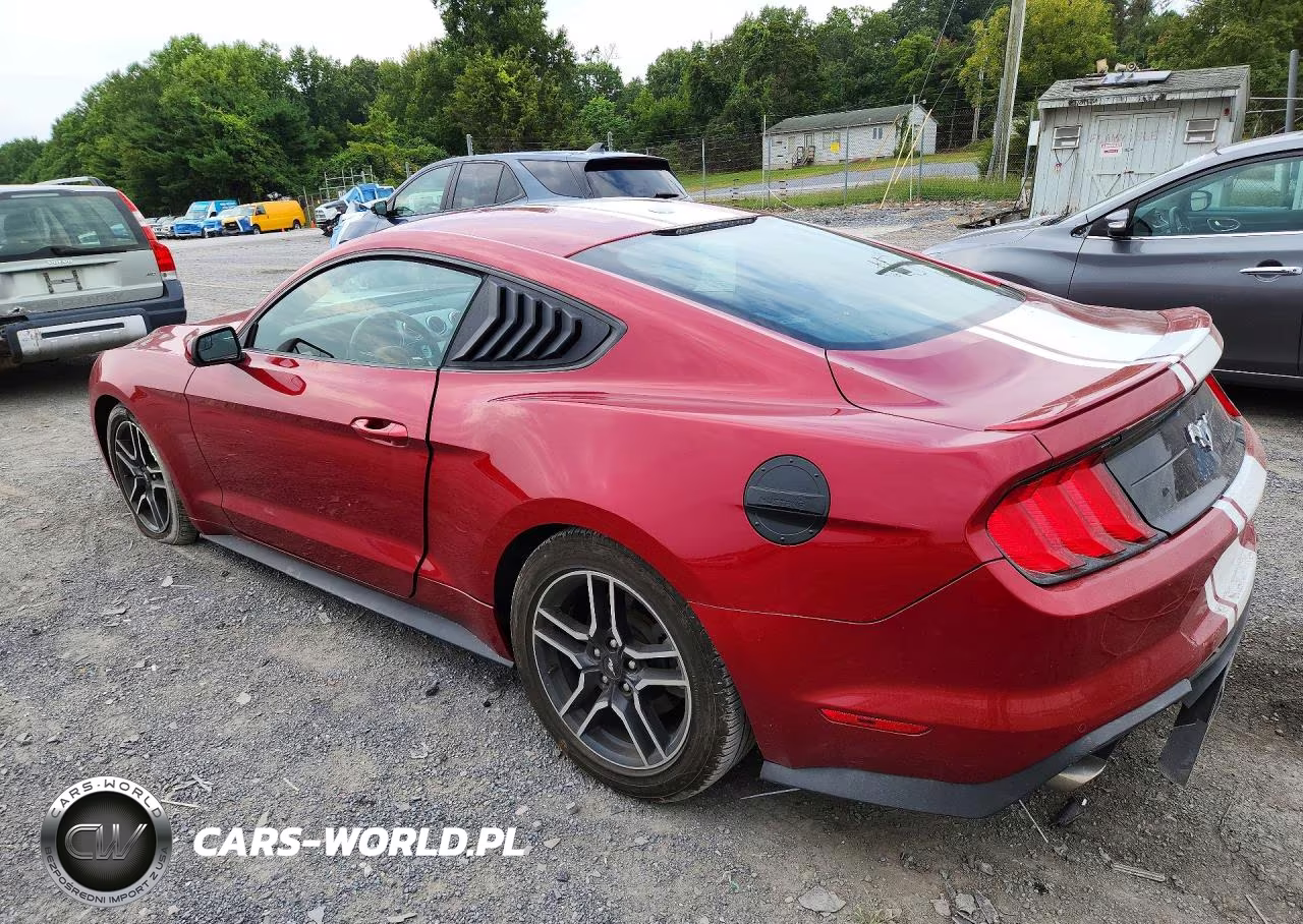 2020 Ford Mustang VIN:1FA6P8TH3L5114657 - 2