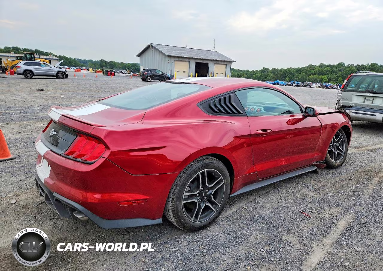 2020 Ford Mustang VIN:1FA6P8TH3L5114657 - 3