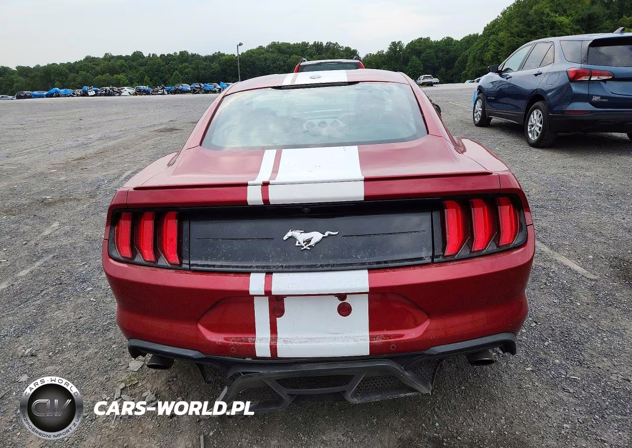 2020 Ford Mustang VIN:1FA6P8TH3L5114657 - 6