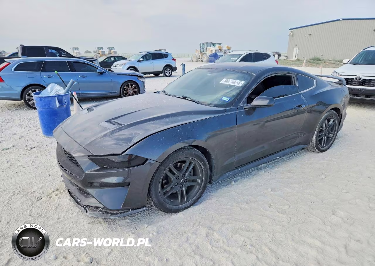 2019 Ford Mustang
