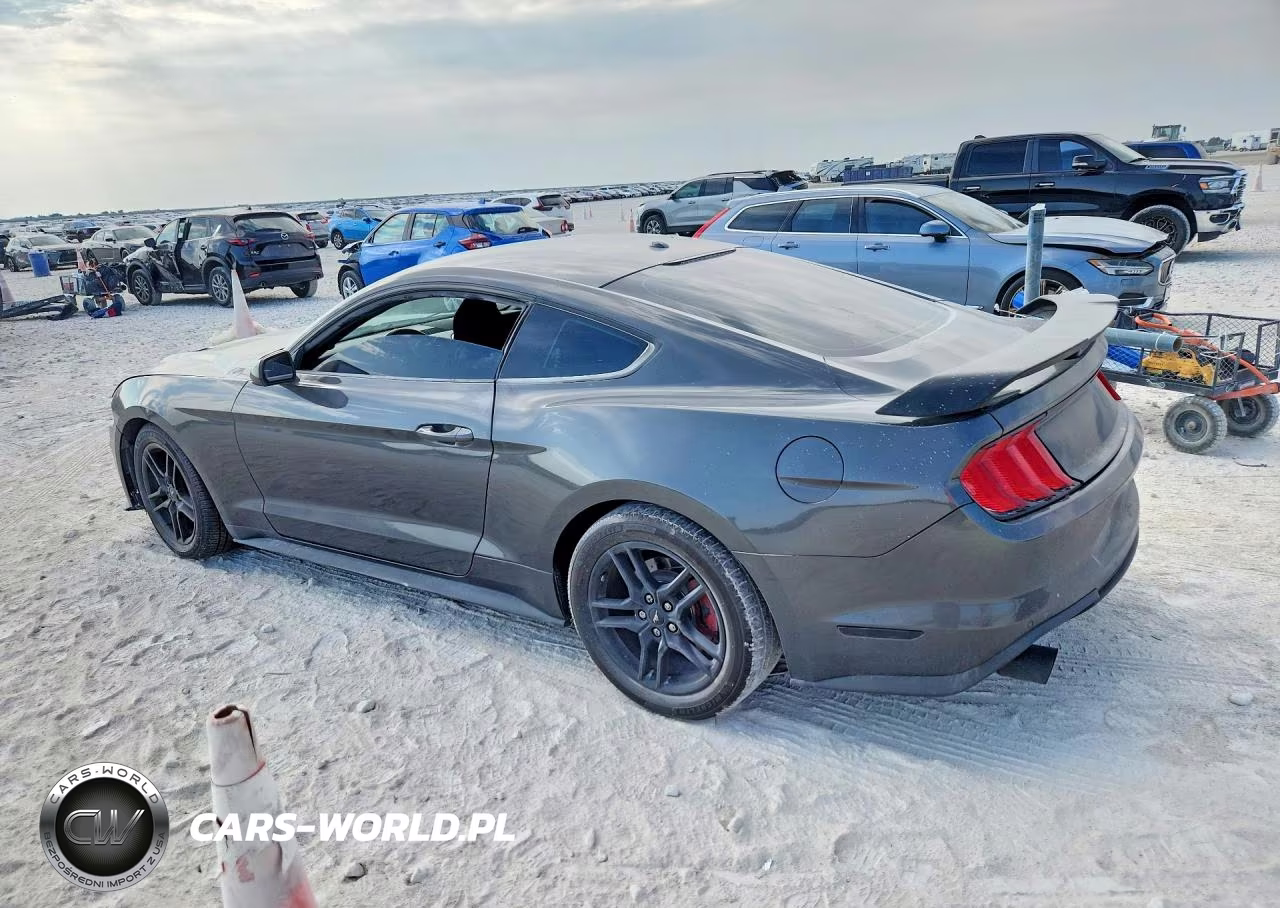 2019 Ford Mustang VIN:1FA6P8THXK5133236 - 2