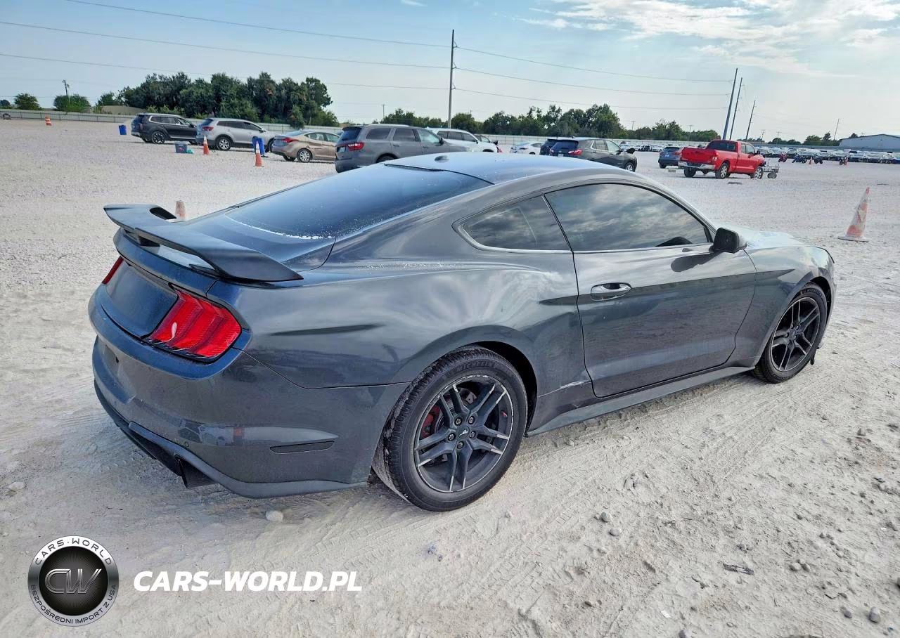 2019 Ford Mustang VIN:1FA6P8THXK5133236 - 3