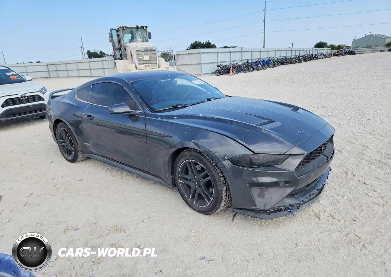 2019 Ford Mustang VIN:1FA6P8THXK5133236 - 4