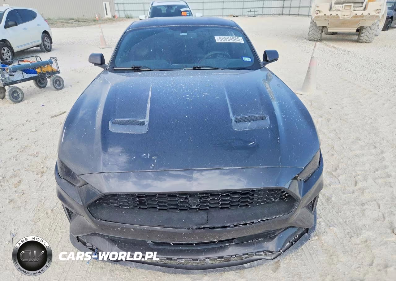 2019 Ford Mustang VIN:1FA6P8THXK5133236 - 5