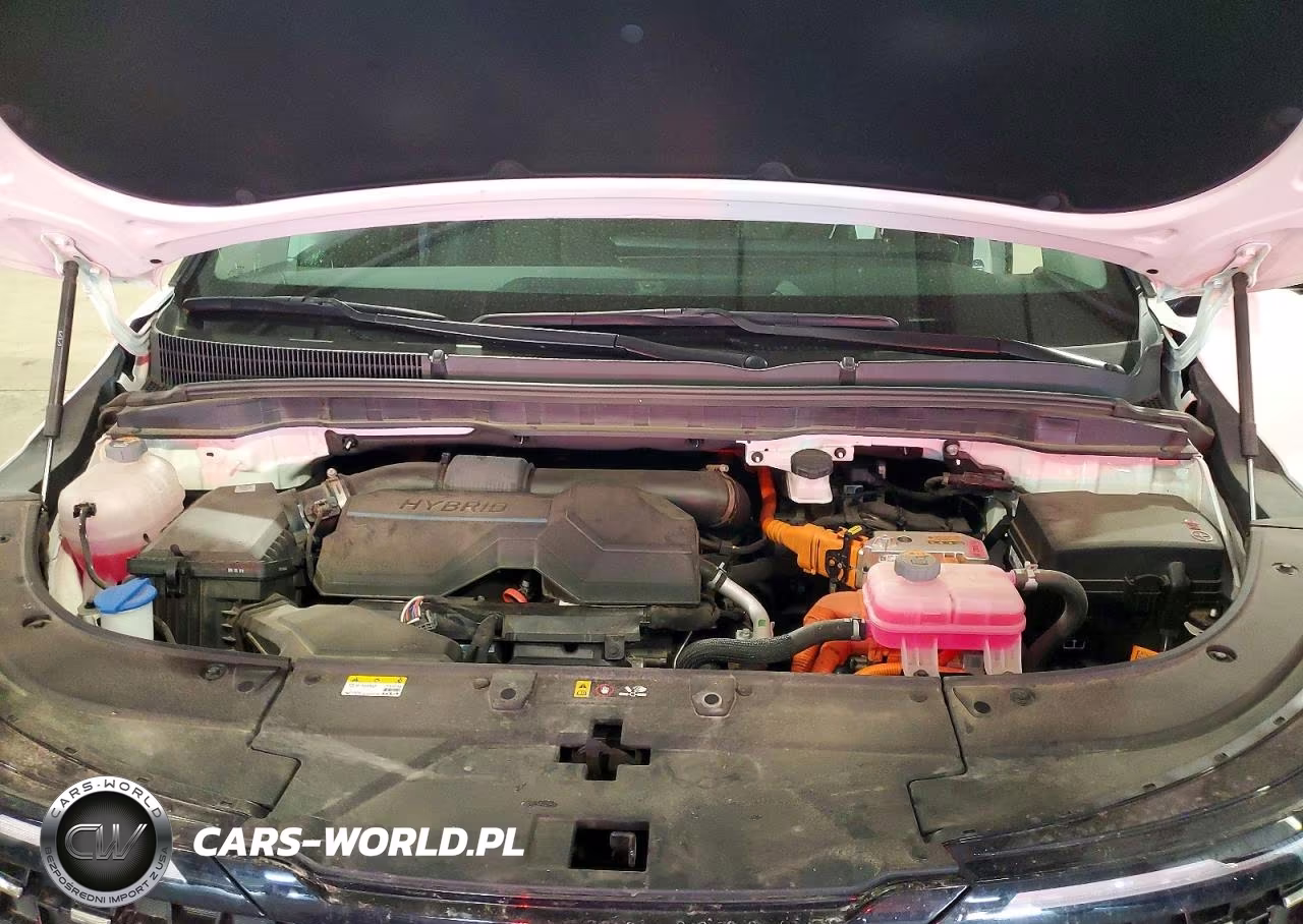 2025 Kia Carnival Hybrid Sx VIN:KNDNE5KA8S6041230 - 12