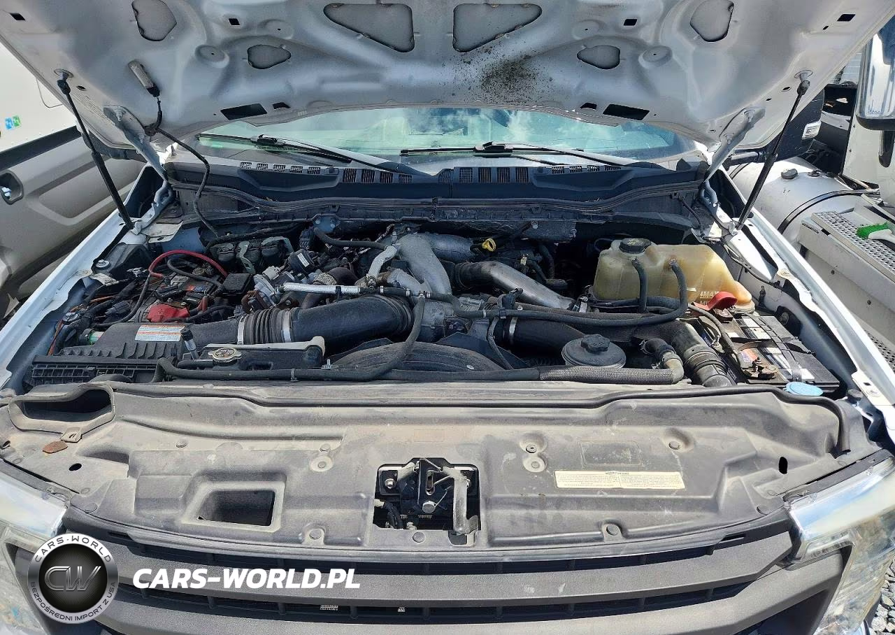 2020 Ford F550 Super Duty VIN:1FDUF5GTXLDA02019 - 12