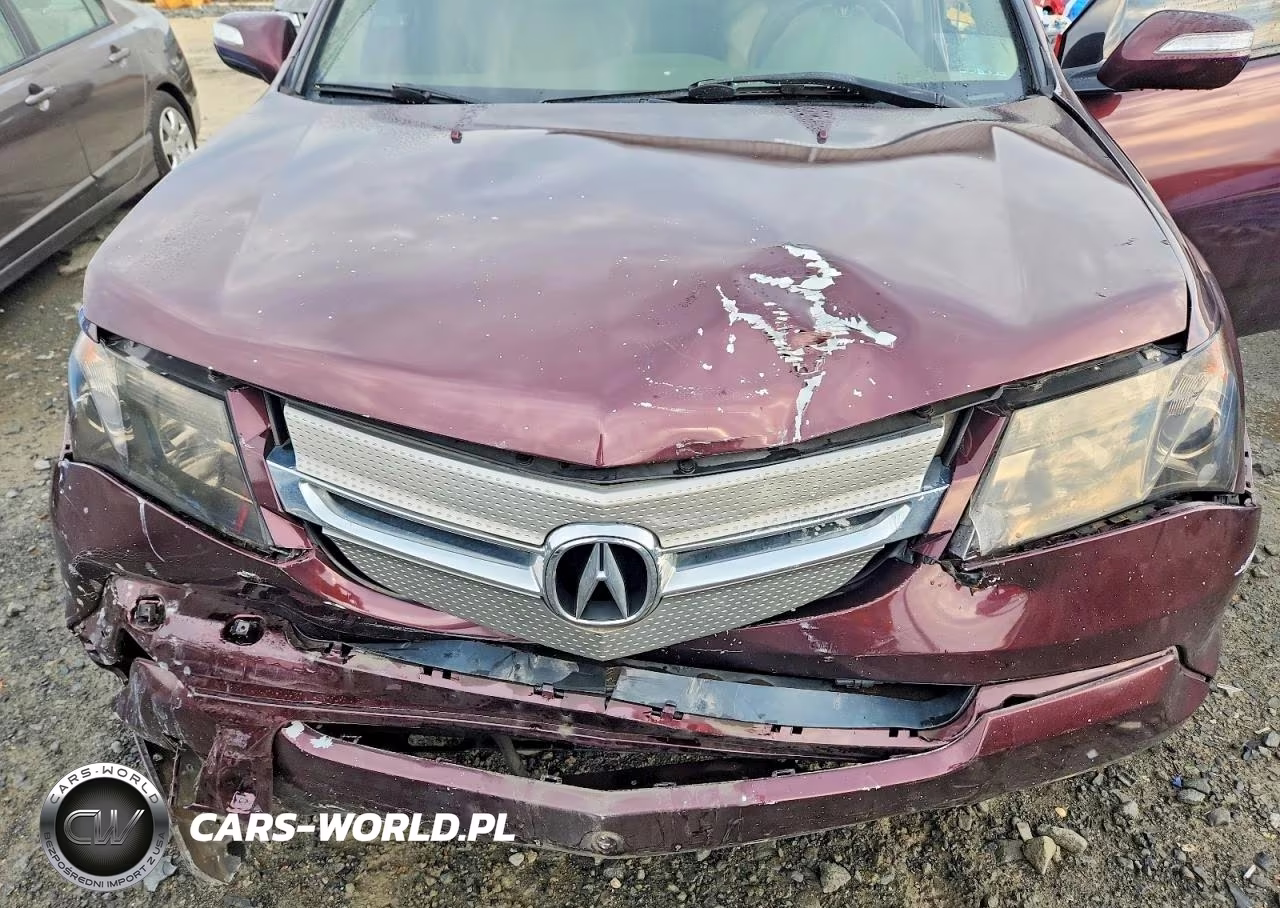 2009 Acura Mdx VIN:2HNYD28239H513139 - 12