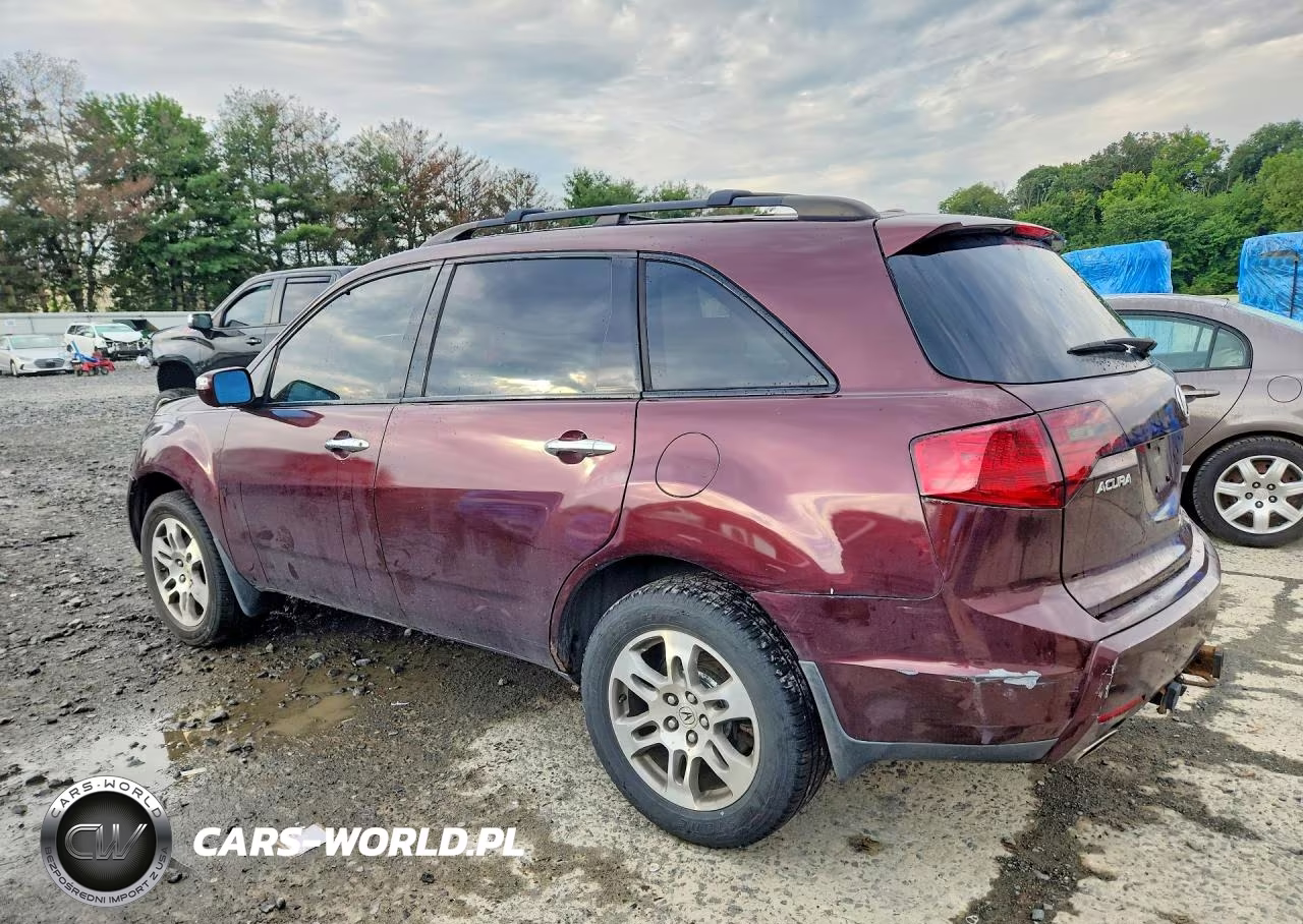 2009 Acura Mdx VIN:2HNYD28239H513139 - 2