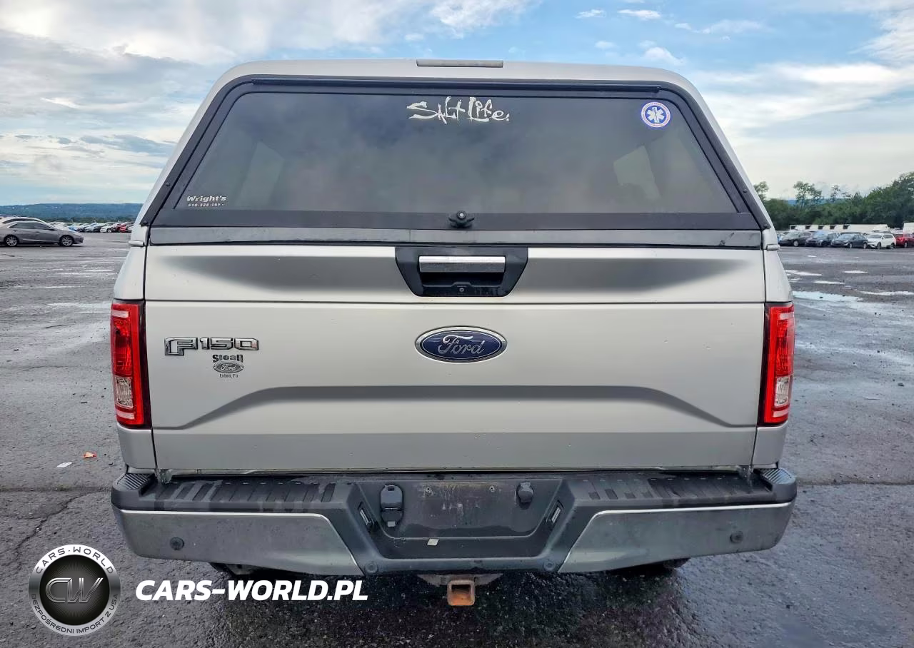 2016 Ford F150 Supercrew VIN:1FTEW1EG1GFA57766 - 6