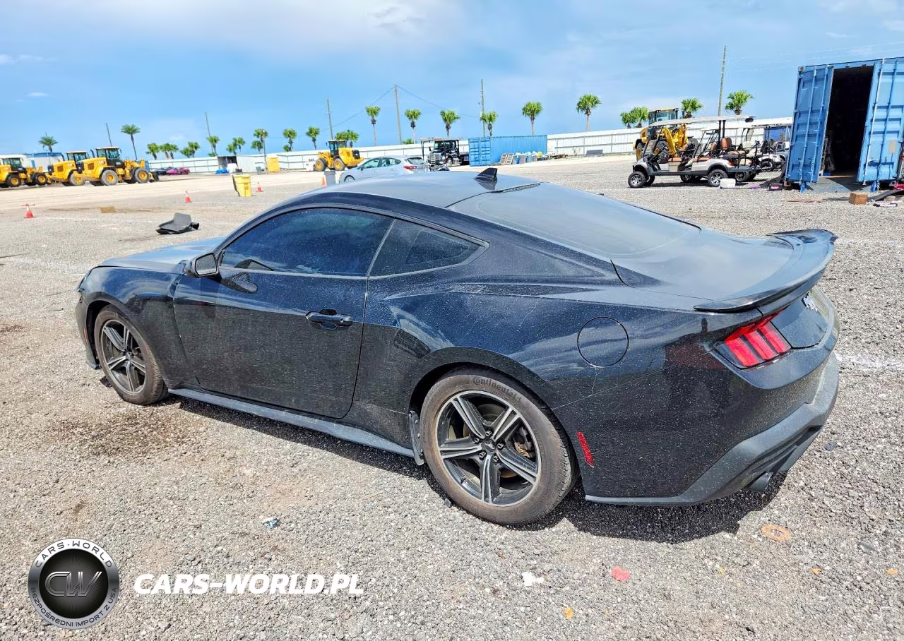 2024 Ford Mustang VIN:1FA6P8TH1R5123091 - 2