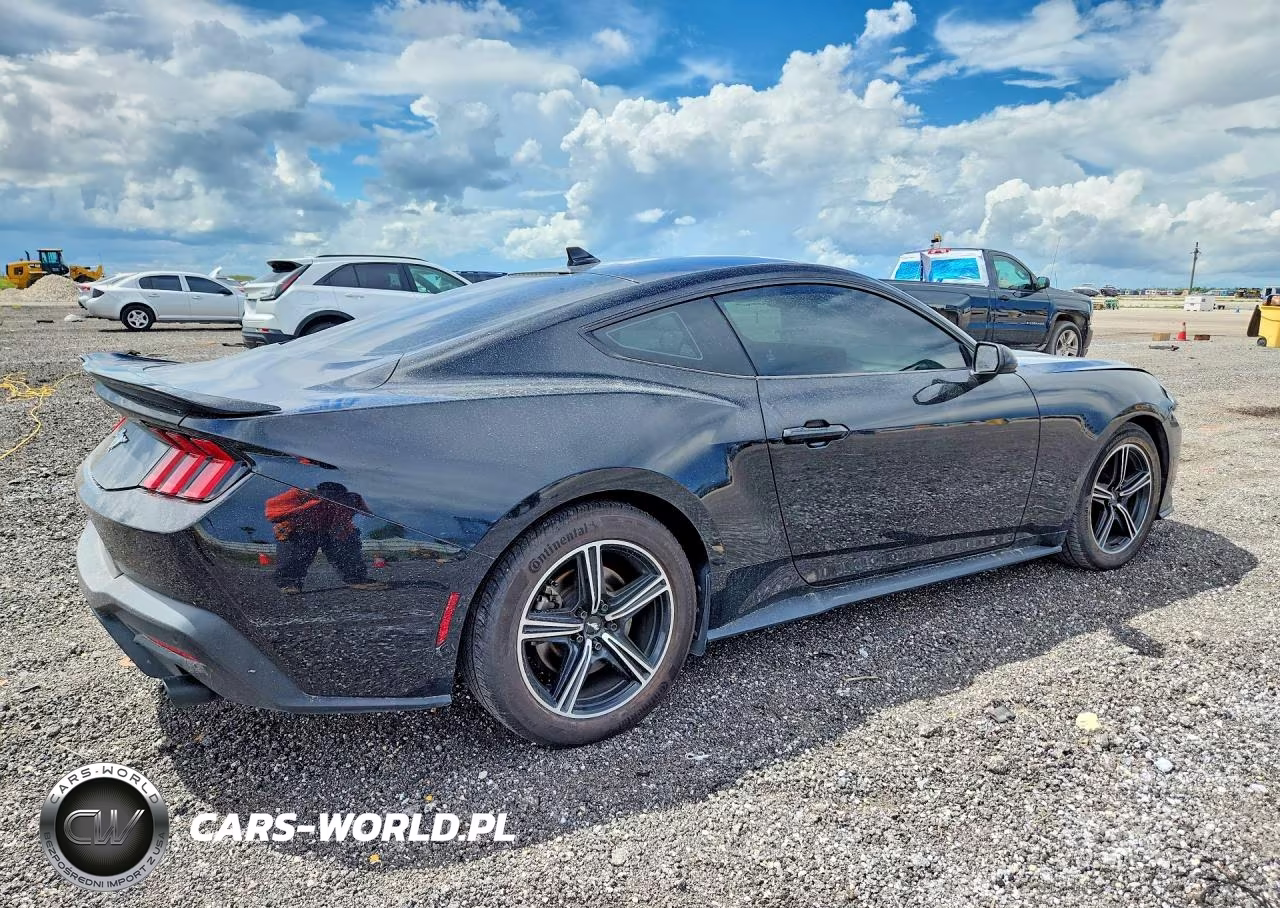 2024 Ford Mustang VIN:1FA6P8TH1R5123091 - 3