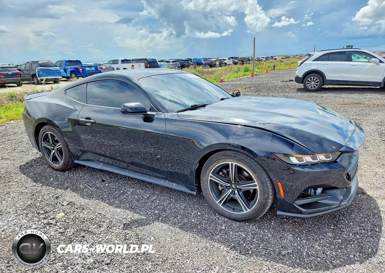2024 Ford Mustang VIN:1FA6P8TH1R5123091 - 4