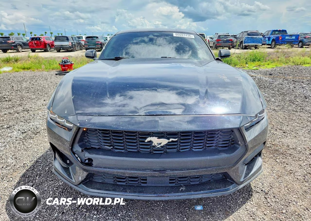 2024 Ford Mustang VIN:1FA6P8TH1R5123091 - 5