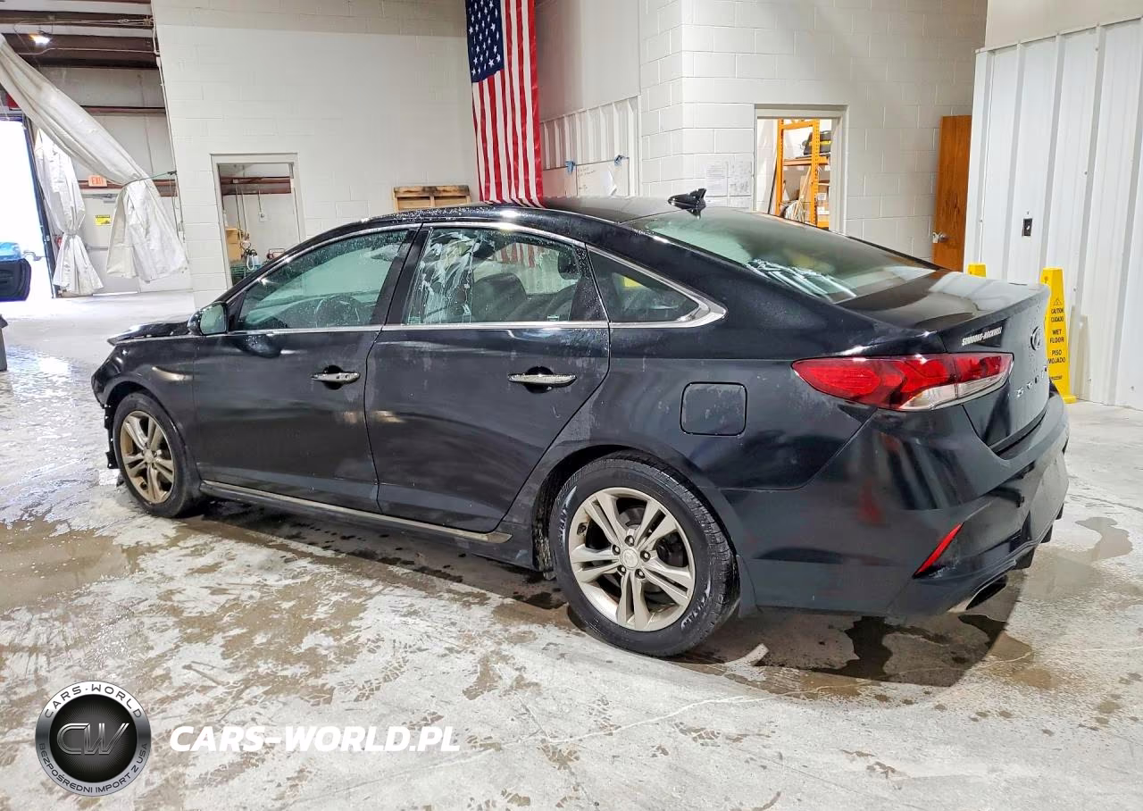 2019 Hyundai Sonata Sport VIN:5NPE34AF4KH816853 - 2