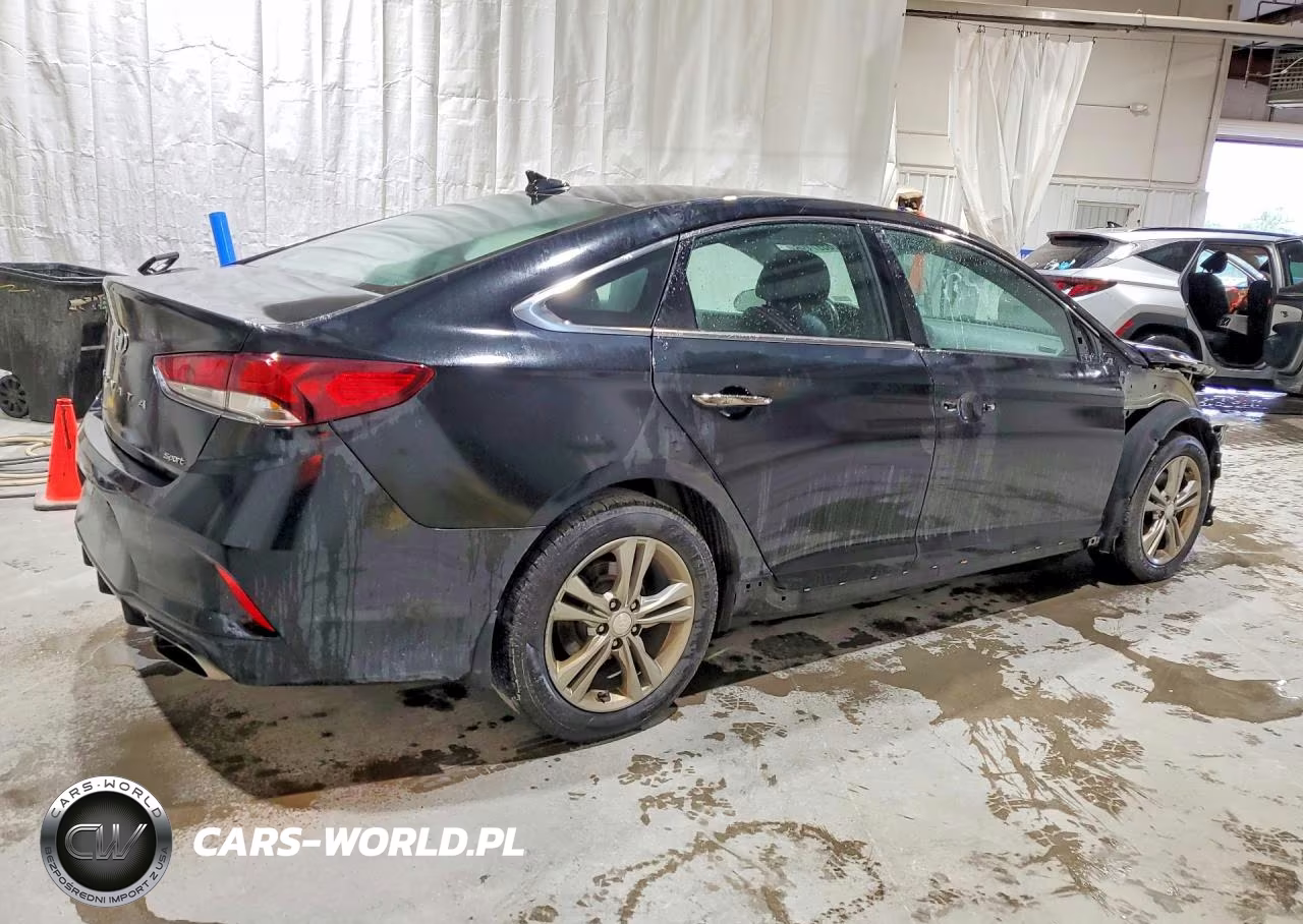 2019 Hyundai Sonata Sport VIN:5NPE34AF4KH816853 - 3