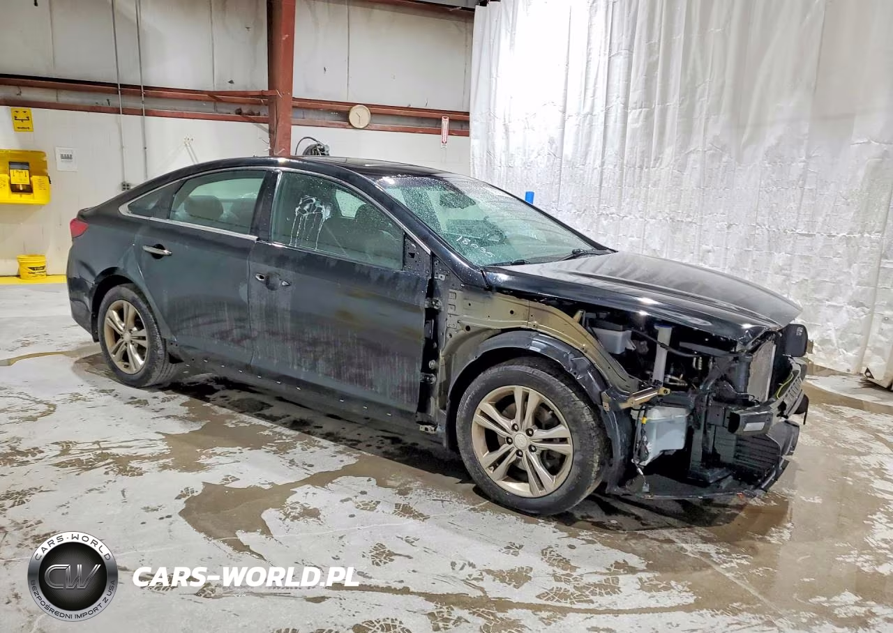 2019 Hyundai Sonata Sport VIN:5NPE34AF4KH816853 - 4