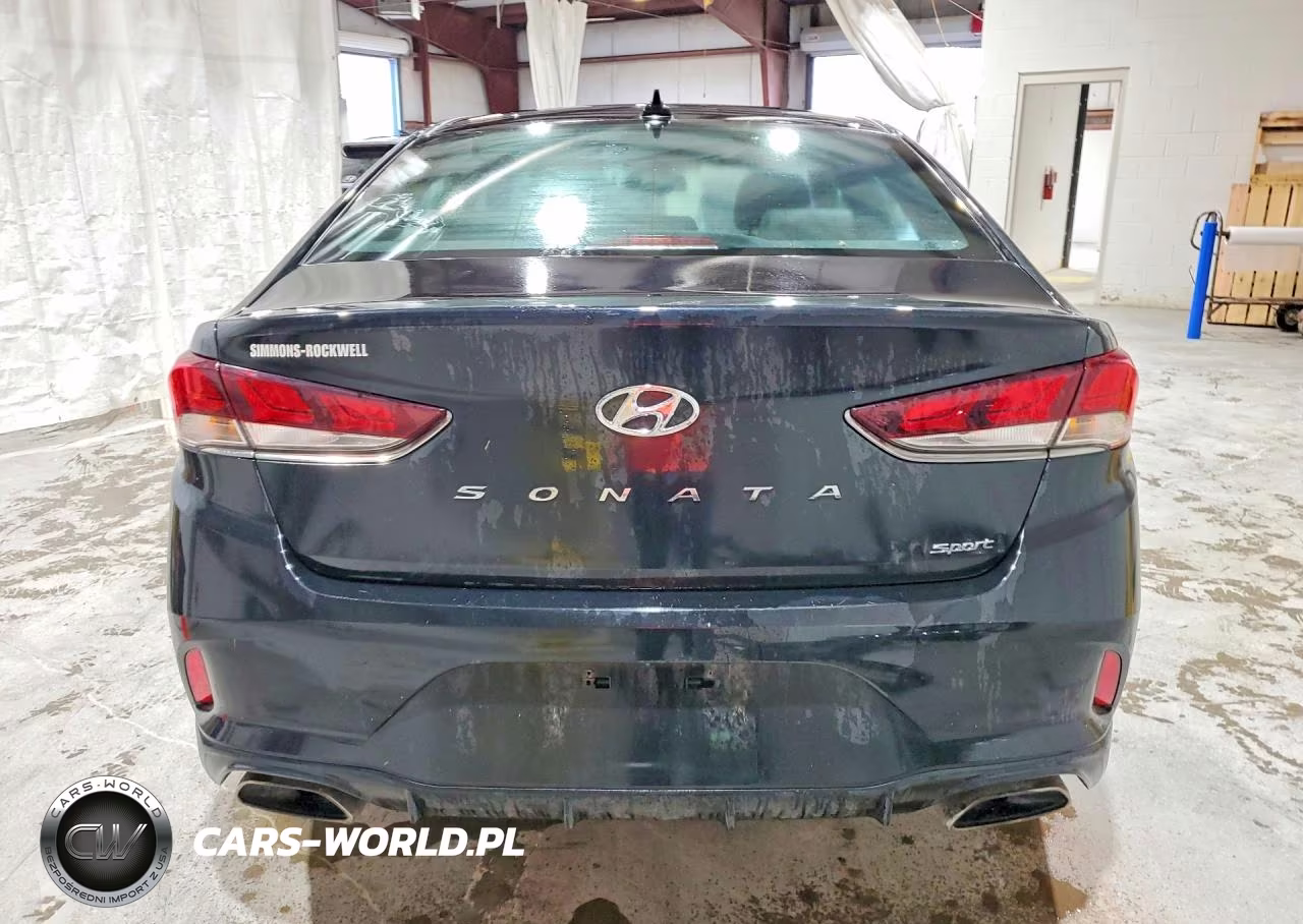 2019 Hyundai Sonata Sport VIN:5NPE34AF4KH816853 - 6