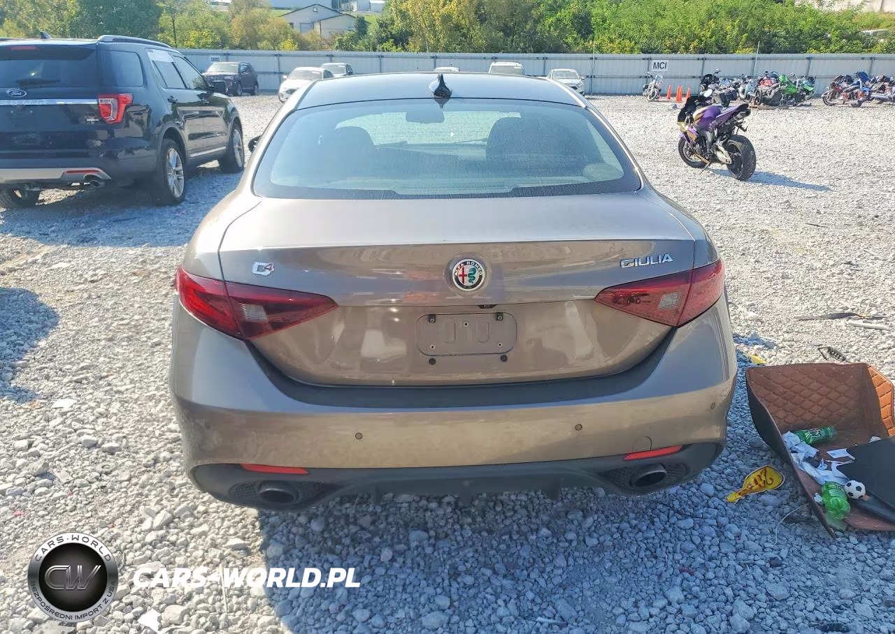 2019 Alfa Romeo Giulia Ti VIN:ZARFANBN1K7608042 - 6