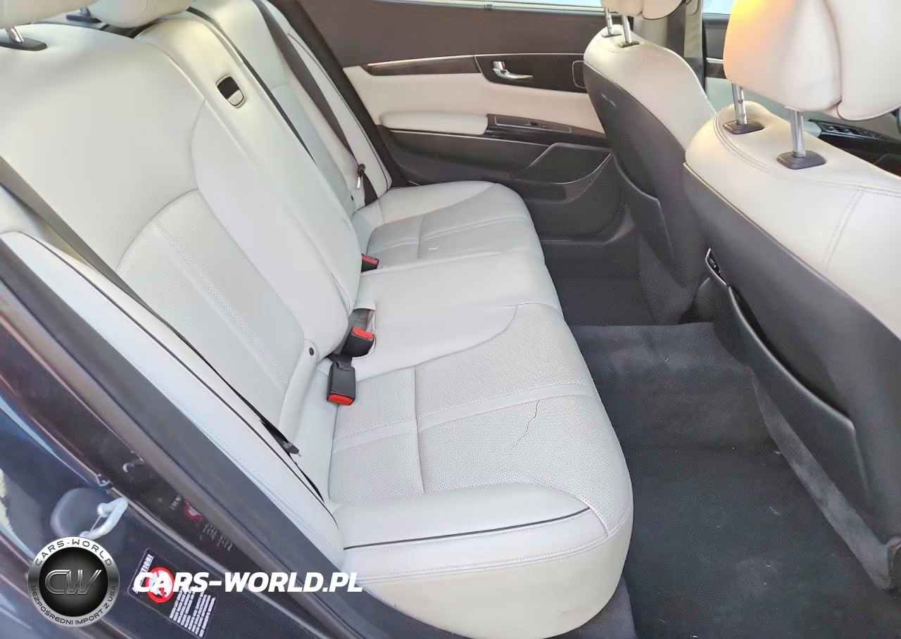 2015 Kia K900 Luxury VIN:KNALW4D45F6019999 - 10