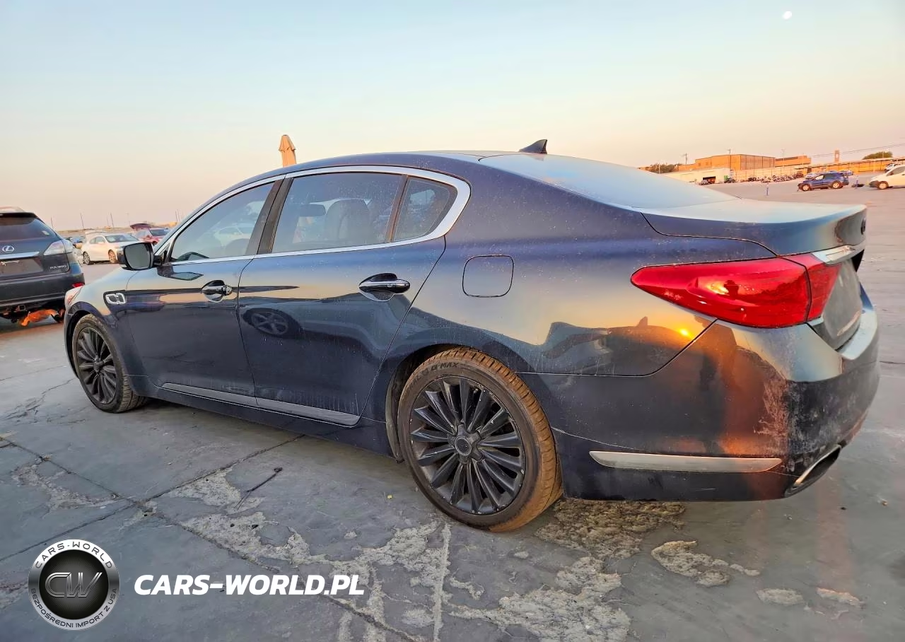 2015 Kia K900 Luxury VIN:KNALW4D45F6019999 - 2